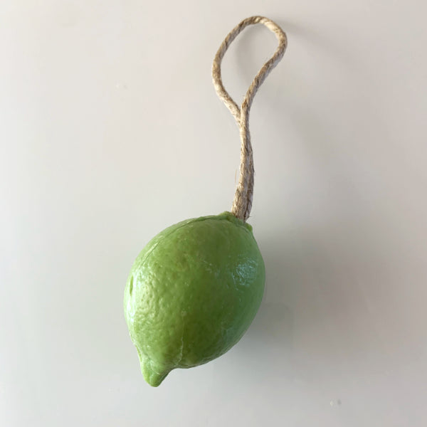 Reptvål Lime 120 g – Naturlig Tvål med Snöre (5-pack)